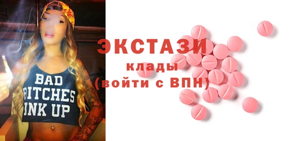 таблы Краснослободск